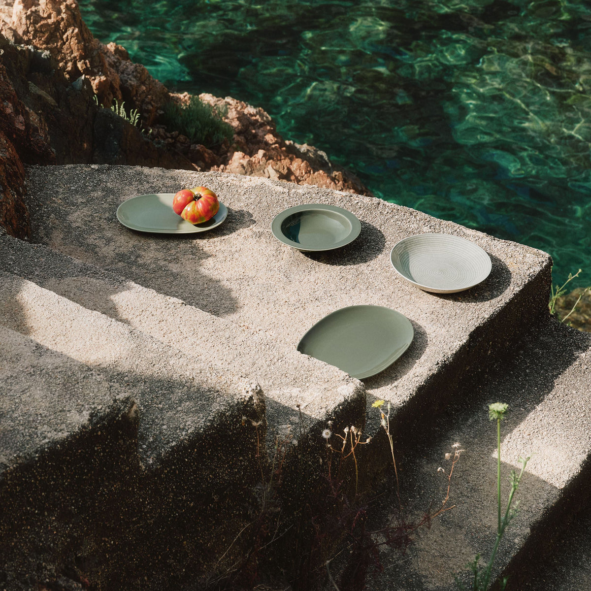 24h plate 26cm Avec green