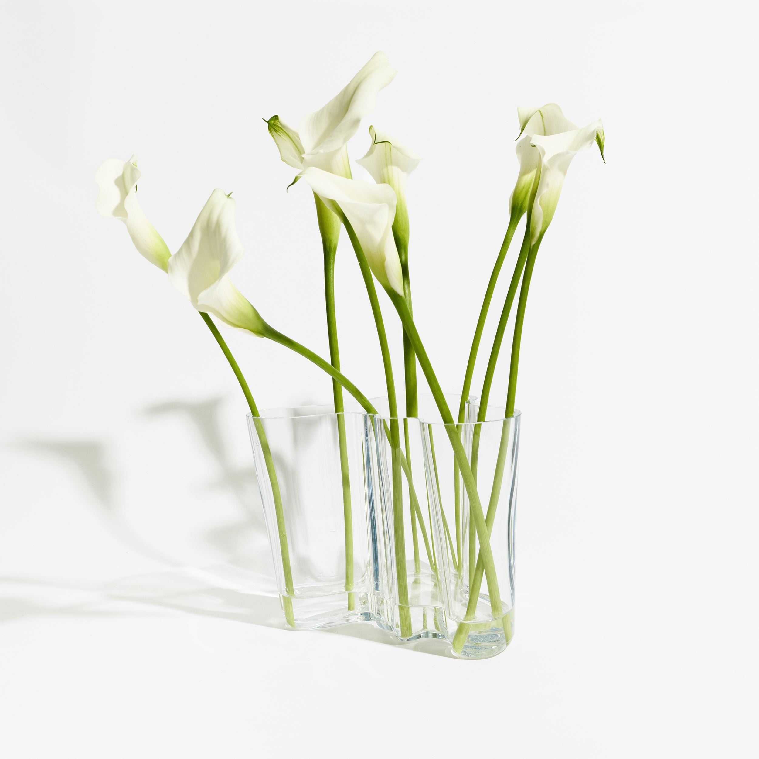 Alvar Aalto Collection vase 160mm clear | Iittala