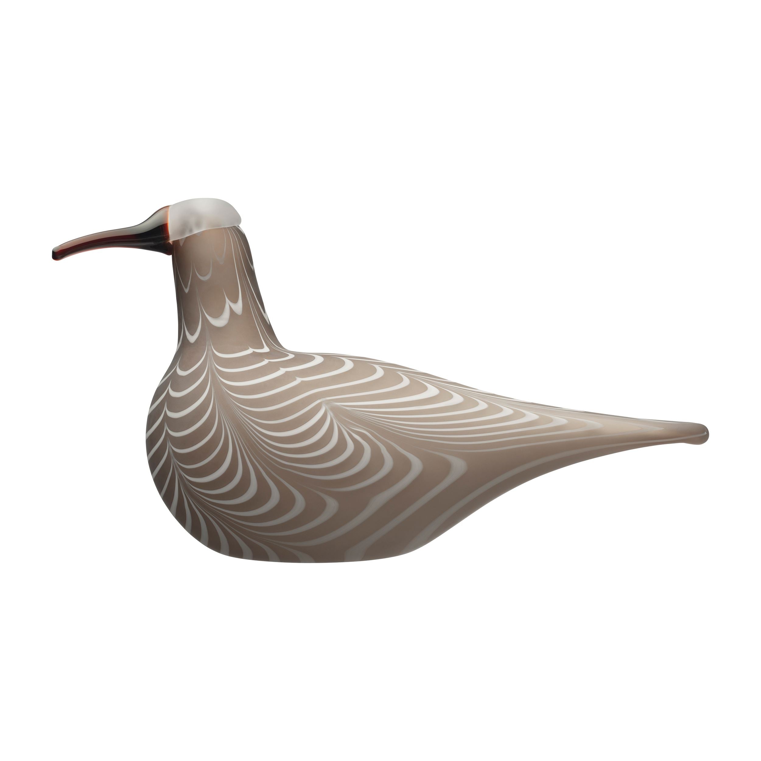 Birds by Toikka Curlew 350x195mm sand | Iittala