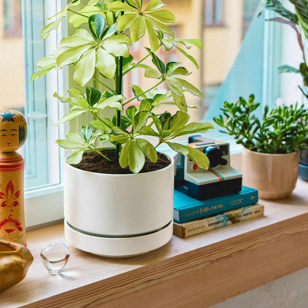 Arabia plant pot SN 19cm matte white - Arabia plant pot SN 19cm white matt