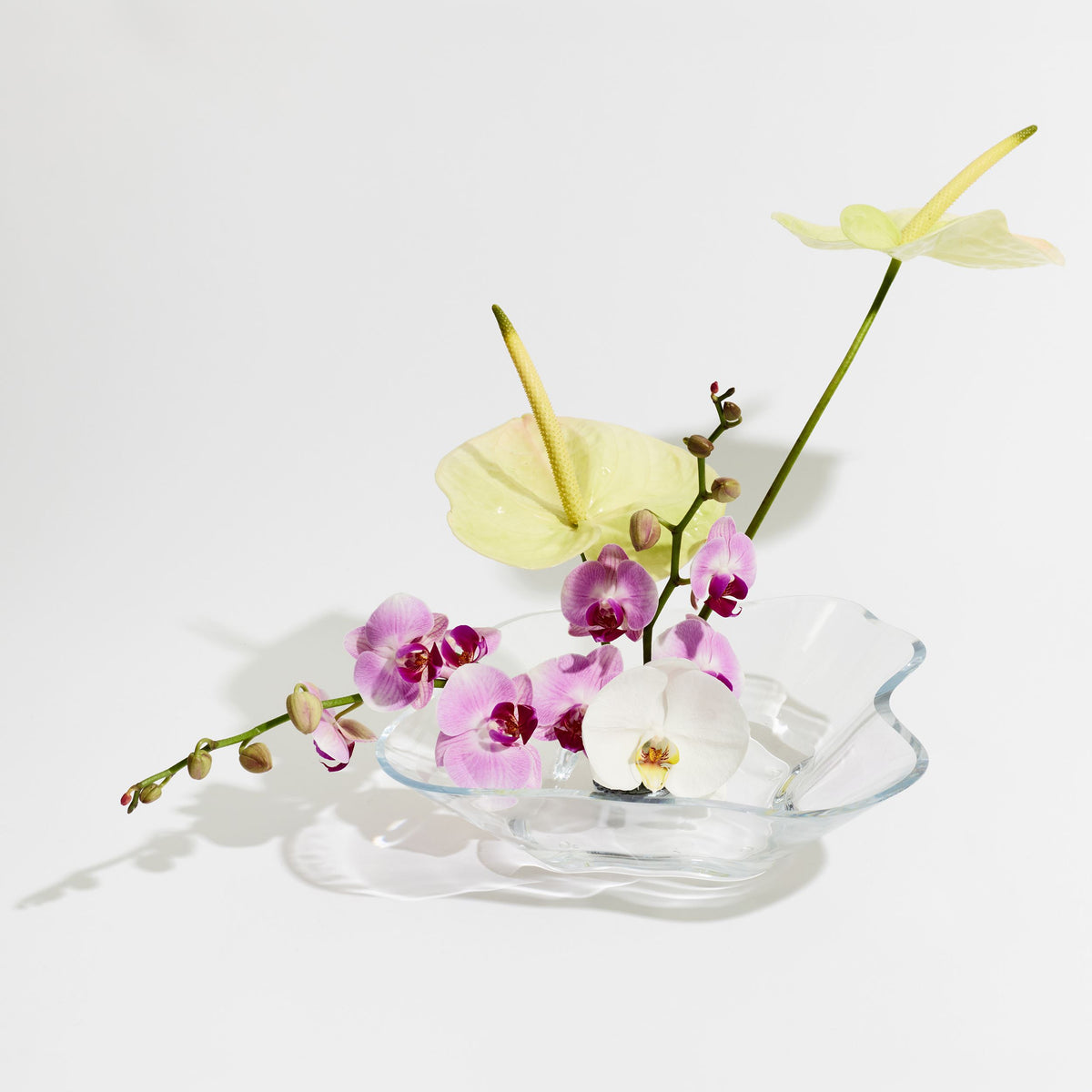 Alvar Aalto Collection Flower bowl 279x75mm clear - Aalto Flower bowl 279x75mm clear
