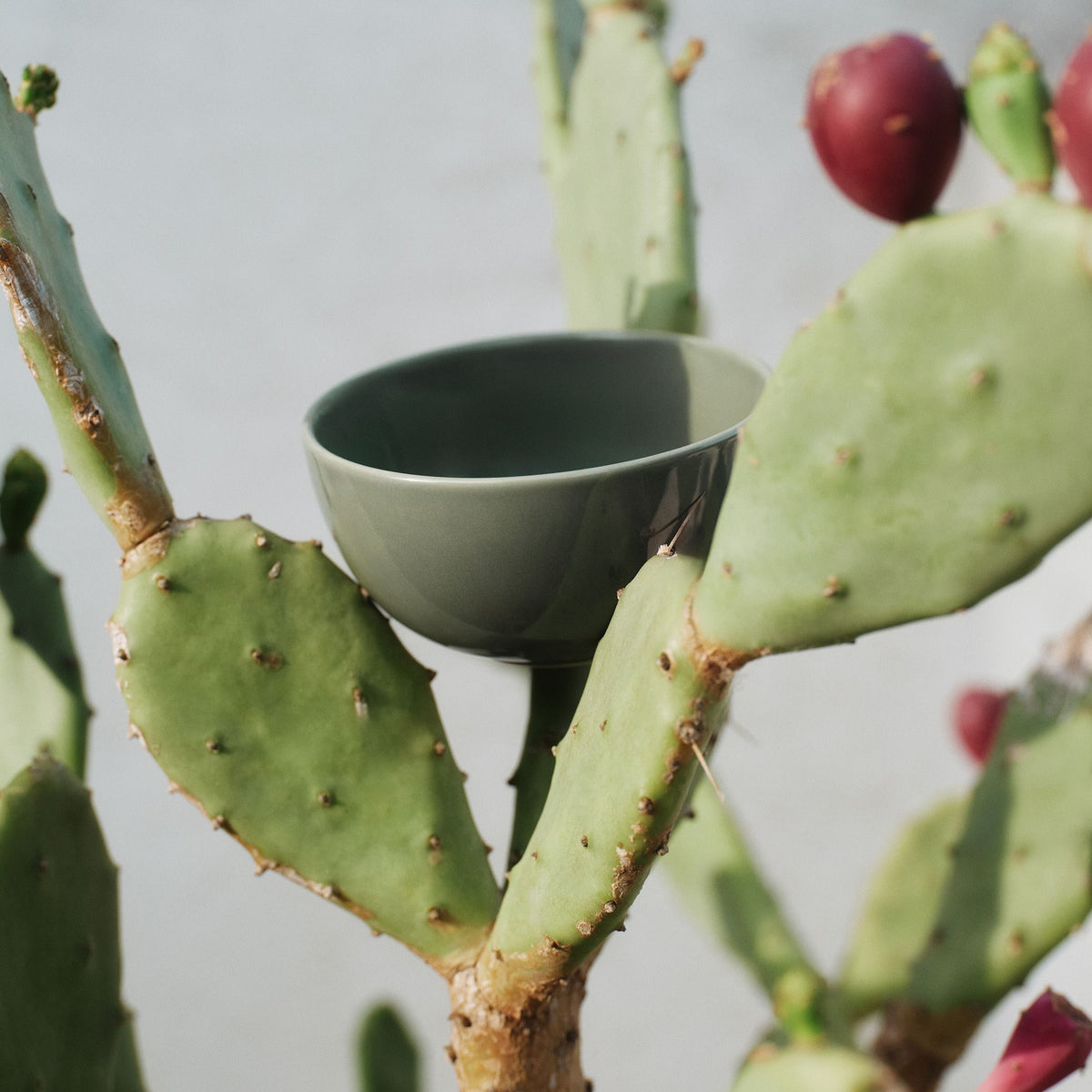 24h dessert bowl 0,3 L evergreen - 24h dessert bowl 0,3L evergreen