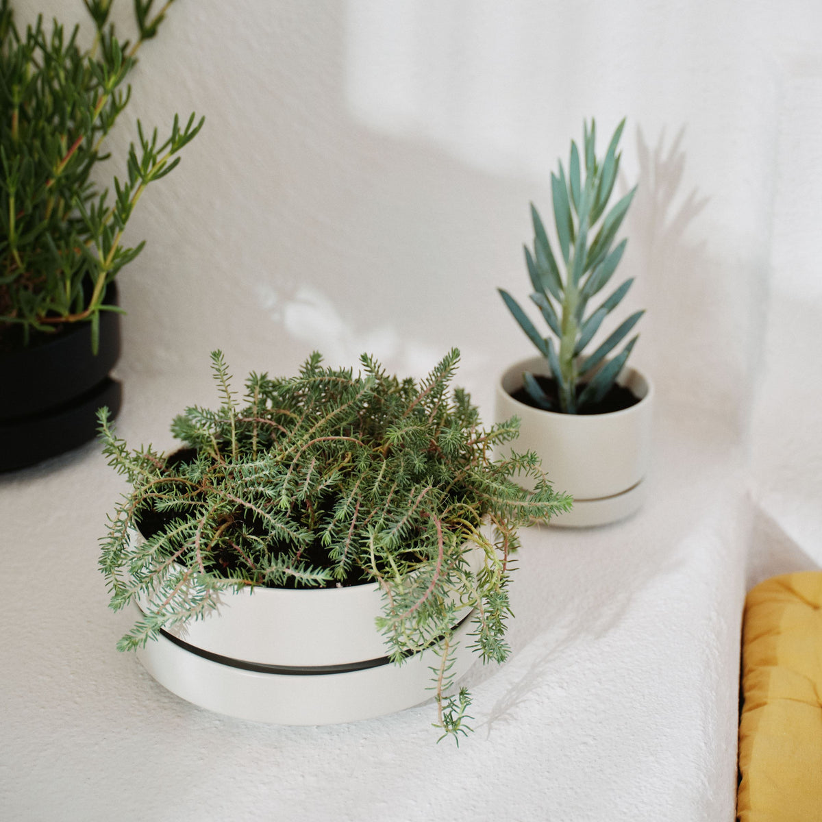 Arabia kruka SN 22cm låg matt vit - Arabia plant pot SN 22cm low white matt