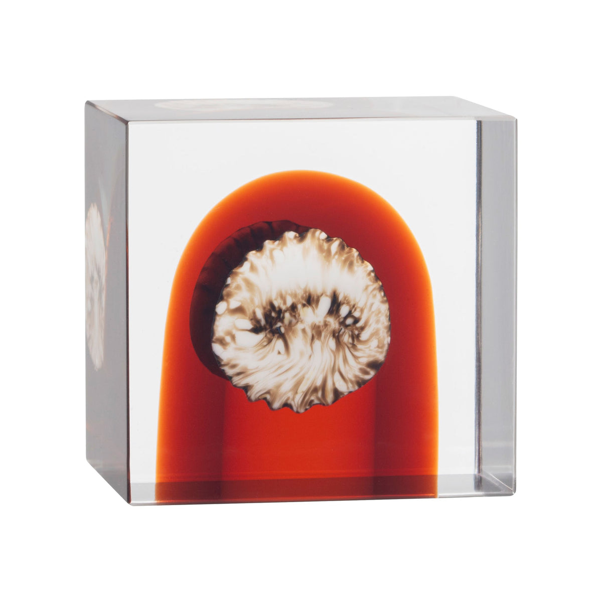Annual Cube 2026 85x80mm