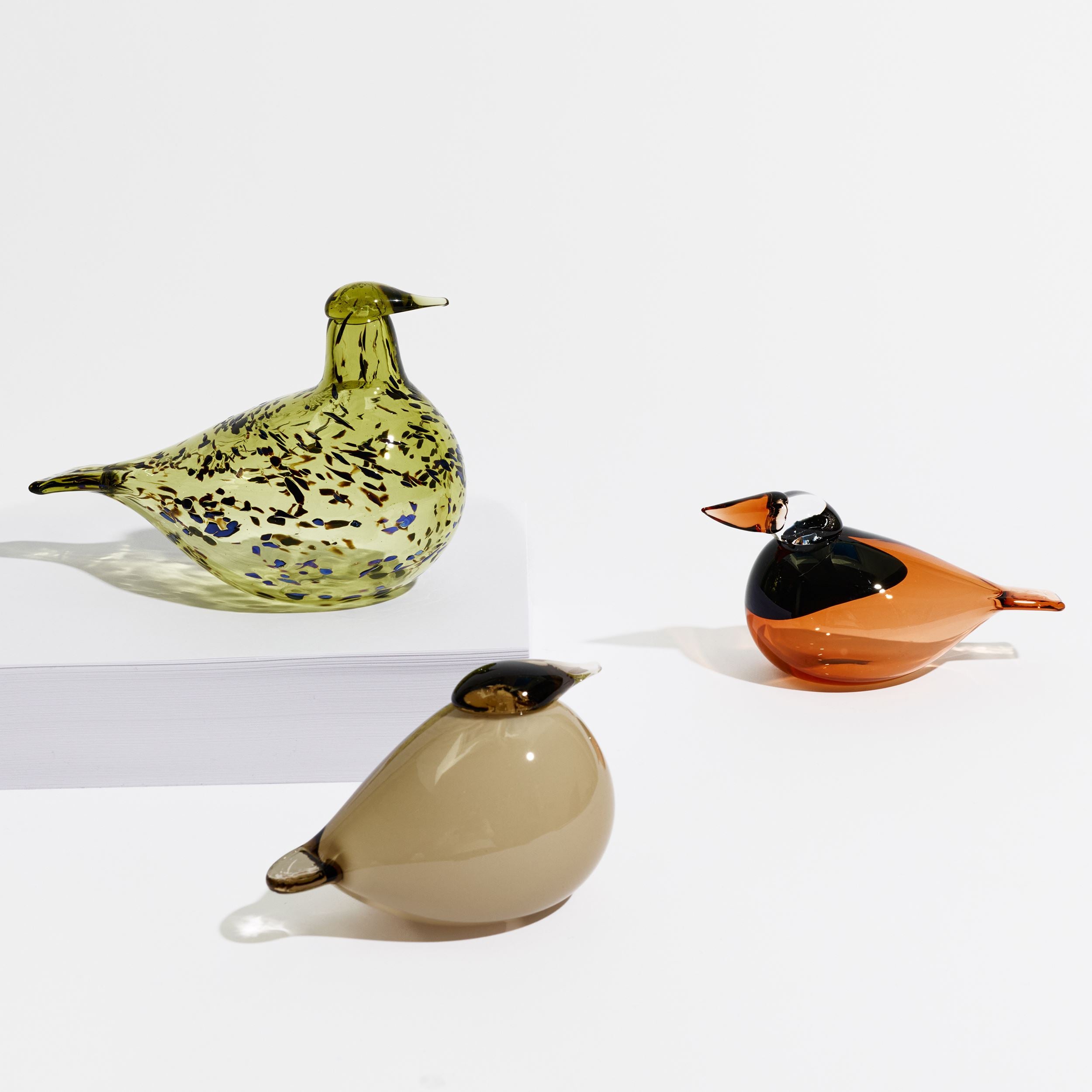 Queenfisher 155x70mm Sevilla orange | Iittala